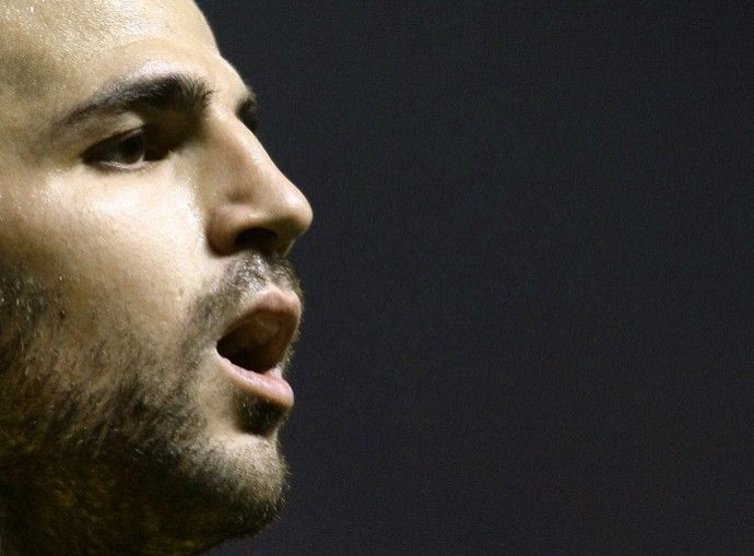 Arsenal skipper Cesc Fabregas