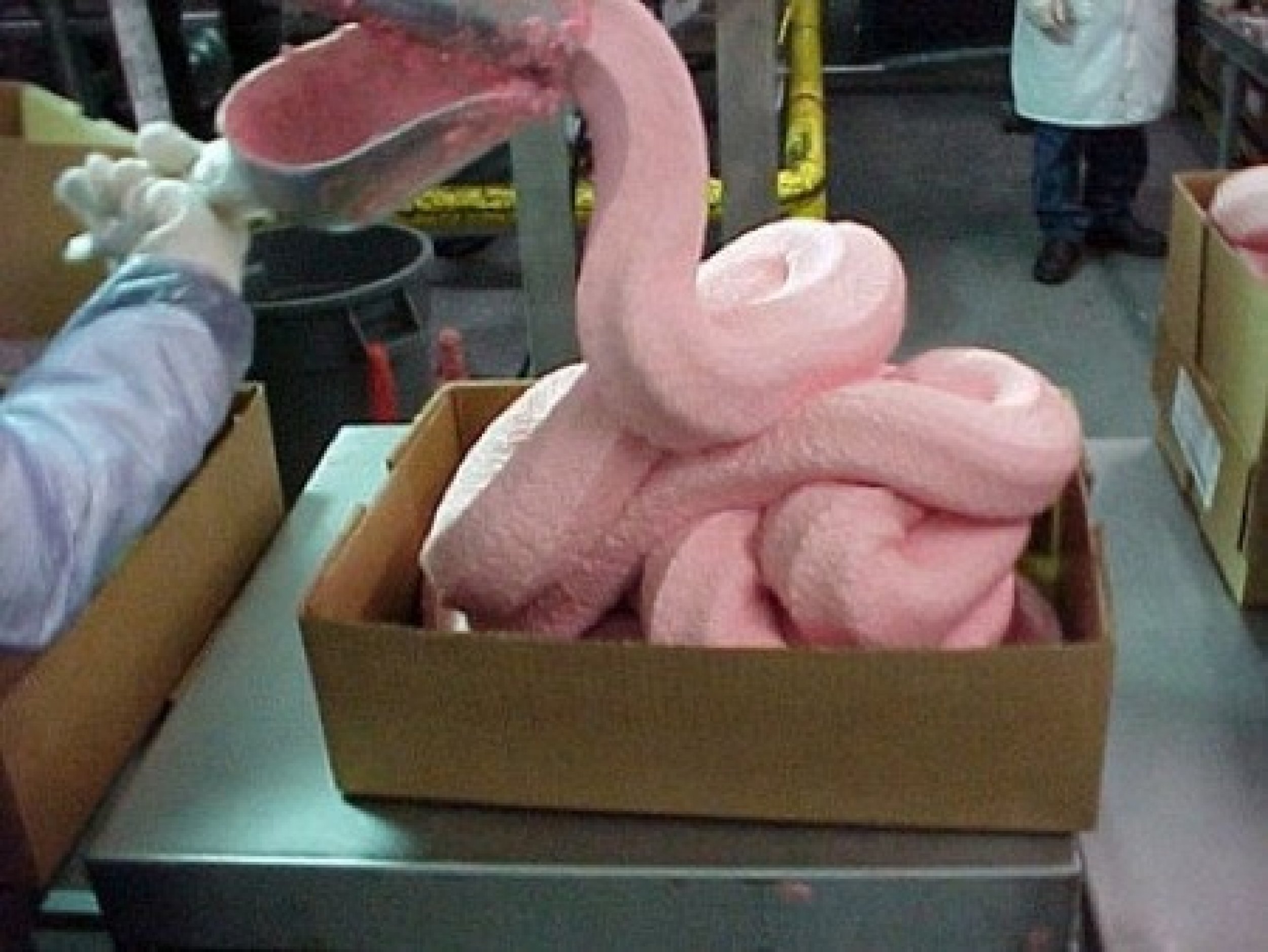 Pink Slime and Other Weird Food Additives You Don't Know You're Eating