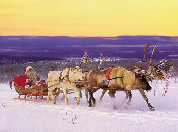 Santa