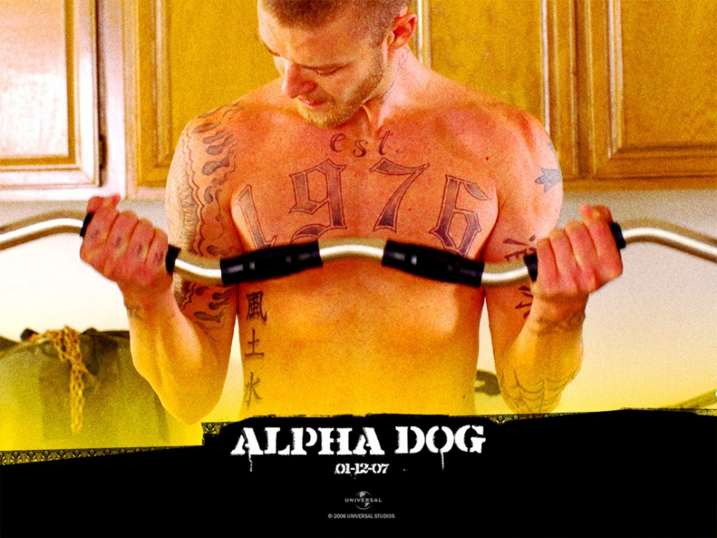 Playing gang member Frankie Ballenbacher in the 2007 film quotAlpha Dogs.quot