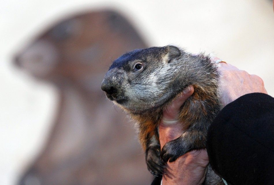 Groundhog Day 2012