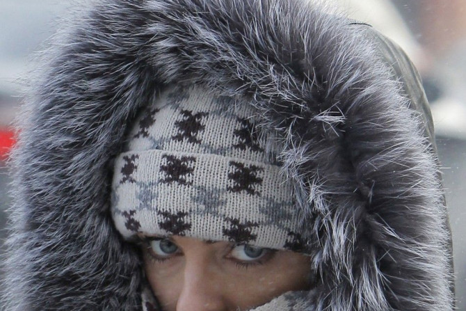 A woman dressed for the cold walks in an air temperature around minus 18 degree Celsius (minus 4 Fahrenheit) in central Kiev