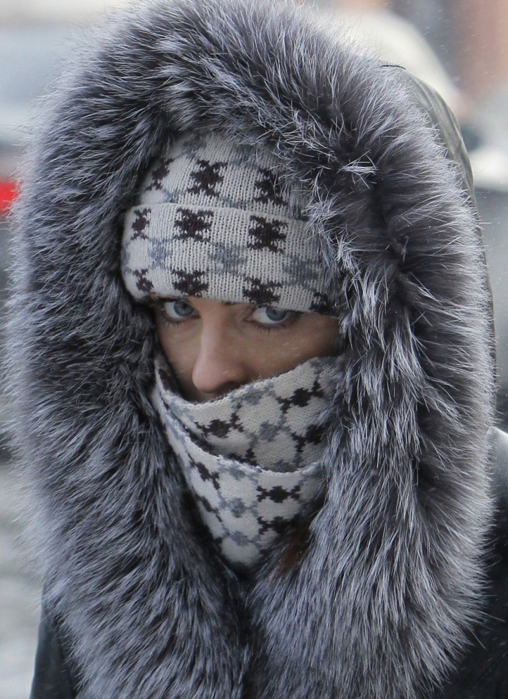 A woman dressed for the cold walks in an air temperature around minus 18 degree Celsius (minus 4 Fahrenheit) in central Kiev