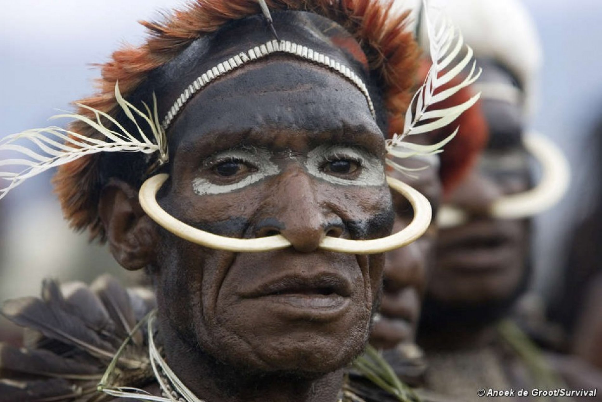 Племя гвинея. Папуа новая Гвинея Папуасы. Племя Мумбо юмбо. Племя Асмат Папуа новая Гвинея. Негр из племени Мумбо-юмбо.