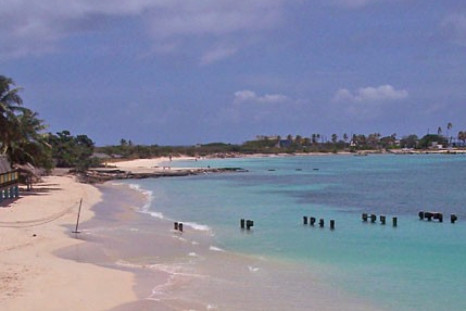 Rogers Beach in Aruba, it sure looks like the kind of place to forget about a crushing defeat.