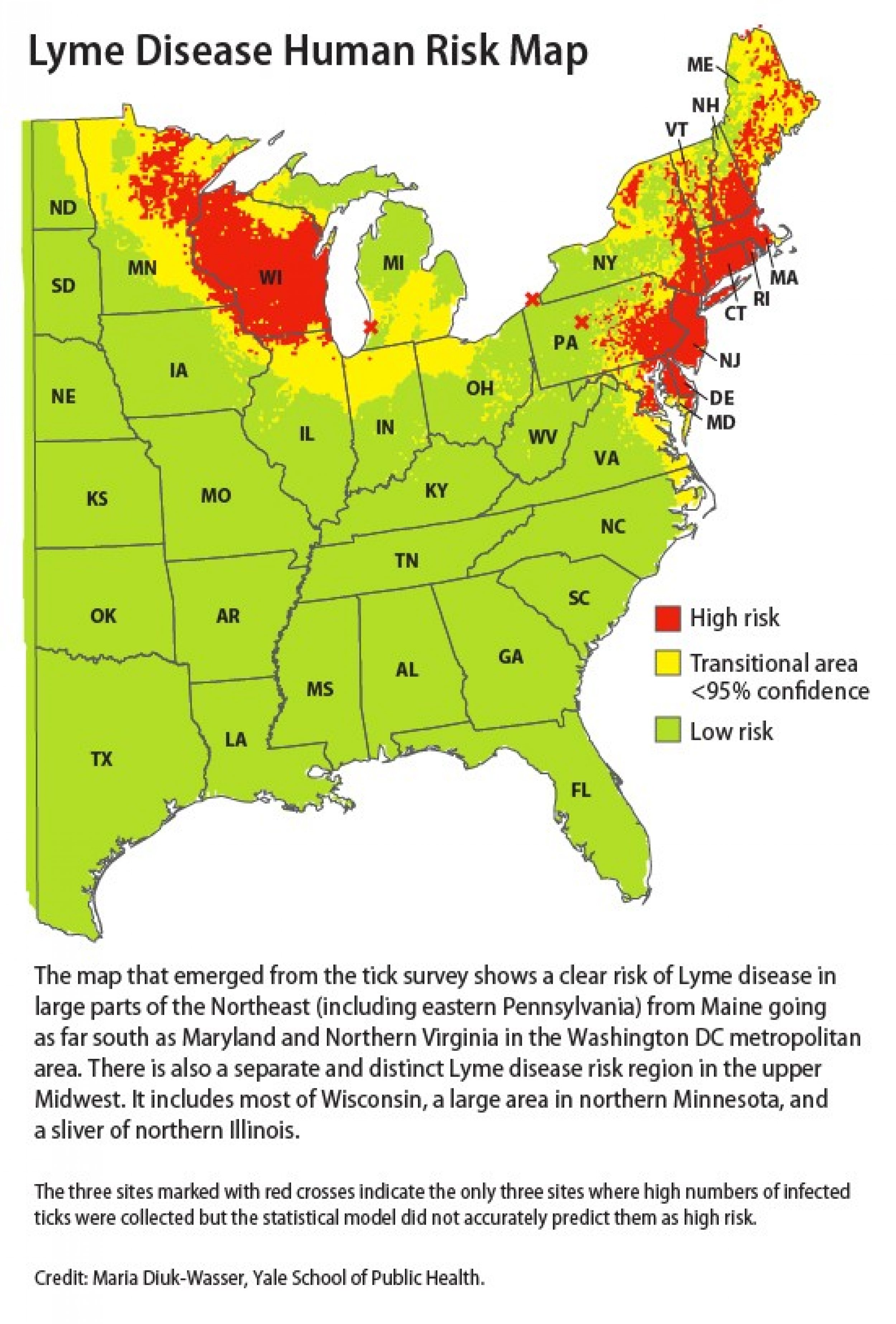 Lyme Disease Risk Highest On Northeast Coast How To Prevent It IBTimes   Lyme Disease 