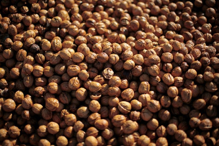 Walnuts sit in a trailer last Oct. 1 after being harvested in Lompoc, Calif.