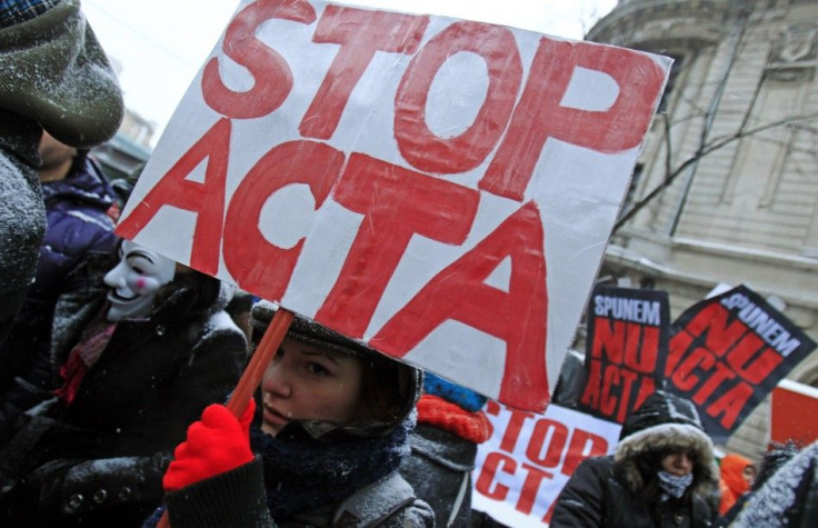 A demonstrator braving freezing temperatures and snow, holds an anti-ACTA (Anti-Counterfeiting Trade Agreement) banner during a protest in Bucharest, February 11, 2012.