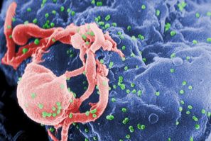 Proteins That Restricts HIV Replication and Prevent Spread of Infection