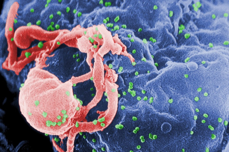 Proteins That Restricts HIV Replication and Prevent Spread of Infection